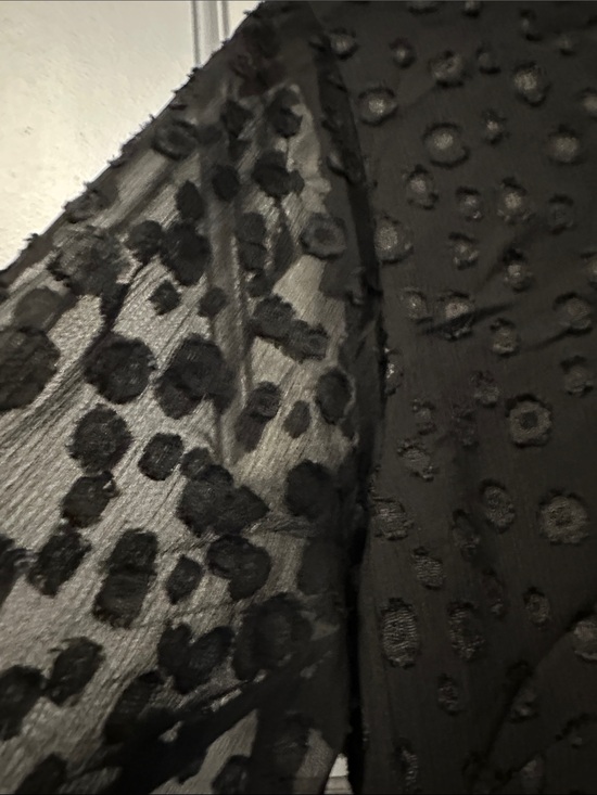 Ann Taylor Dresses & Skirts - Ann Taylor Black Sheer Swiss Dot Long Sleeve Dress